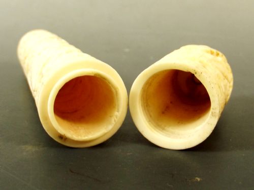 19TH CENTURY CHINESE CARVED IVORY SEWING NEEDLE CASE - ADDITIONAL PHOTO 7