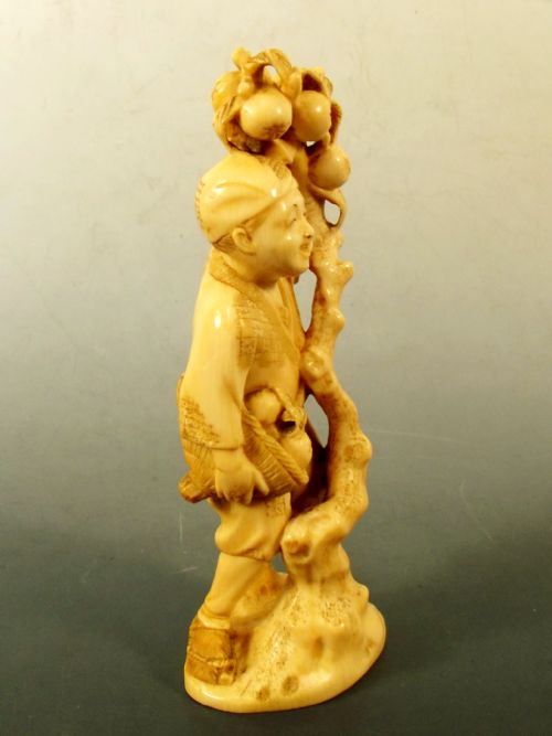 JAPANESE MEIJI PERIOD IVORY FRUIT PICKER OKIMONO - ADDITIONAL PHOTO 3