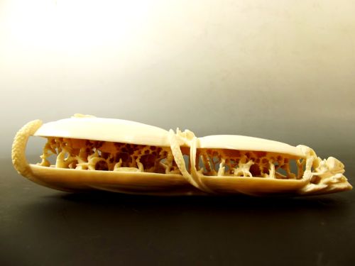 unusual chinese carved ivory double world in a clam c1900 - CATEGORY: ANTIQUE MISCELLANEOUS - DATED 1900