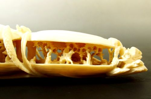 UNUSUAL CHINESE CARVED IVORY DOUBLE WORLD IN A CLAM C1900 - ADDITIONAL PHOTO 5