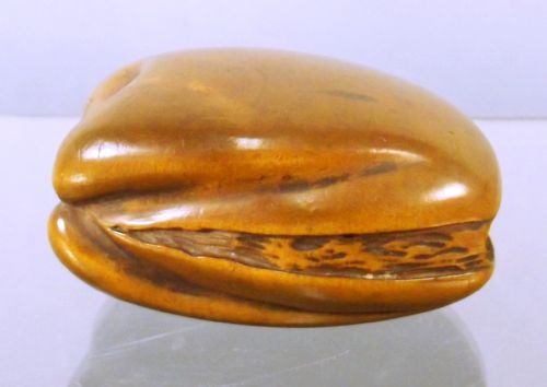 JAPANESE MEIJI PERIOD BOXWOOD WORLD IN A CLAM NETSUKE - ADDITIONAL PHOTO 1