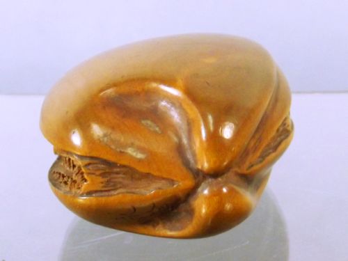 JAPANESE MEIJI PERIOD BOXWOOD WORLD IN A CLAM NETSUKE - ADDITIONAL PHOTO 2