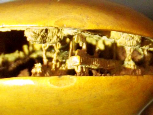 JAPANESE MEIJI PERIOD BOXWOOD WORLD IN A CLAM NETSUKE - ADDITIONAL PHOTO 7