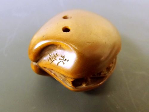 JAPANESE MEIJI PERIOD BOXWOOD WORLD IN A CLAM NETSUKE - ADDITIONAL PHOTO 9