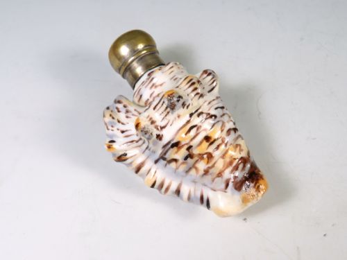 antique porcelain seashell scent bottle - CATEGORY: ANTIQUE CERAMICS - DATED 1890
