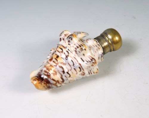 ANTIQUE PORCELAIN SEASHELL SCENT BOTTLE - ADDITIONAL PHOTO 1