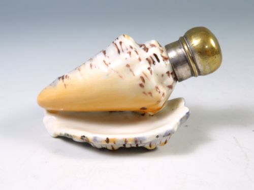 ANTIQUE PORCELAIN SEASHELL SCENT BOTTLE - ADDITIONAL PHOTO 3