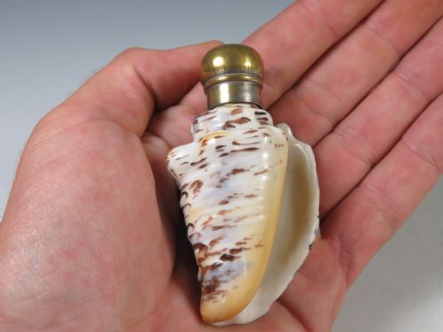 ANTIQUE PORCELAIN SEASHELL SCENT BOTTLE - ADDITIONAL PHOTO 4
