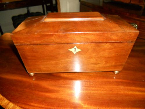 regency mahogany tea caddy - CATEGORY: ANTIQUE BOXES - DATED REGENCY