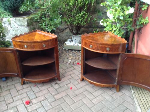 A PAIR OF BOW FRONT CORNER CUPBOARDS - ADDITIONAL PHOTO 1