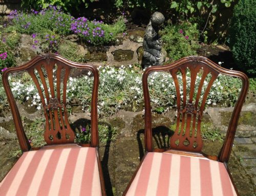 A PAIR OF PRETTY MAHOGANY CHAIRS - ADDITIONAL PHOTO 1
