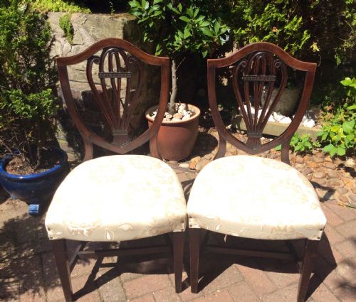 pair of georgian shield back mahogany chairs - CATEGORY: ANTIQUE CHAIRS - DATED 1800