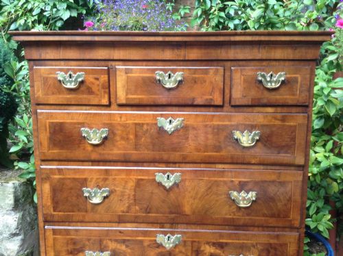 WALNUT CHEST ON STAND - ADDITIONAL PHOTO 1
