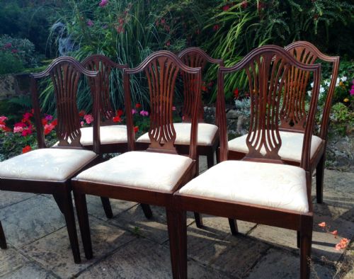 set of six georgian hepplewhite dining chairs - CATEGORY: ANTIQUE CHAIRS - DATED 1800