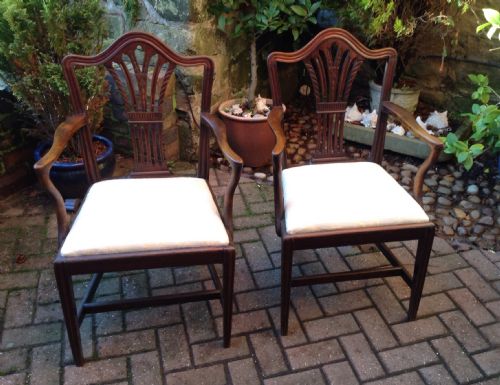 a pair of hepplewhite style carver chairs - CATEGORY: ANTIQUE CHAIRS - DATED VICTORIAN