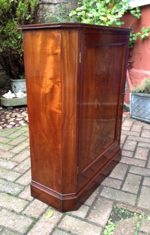 NARROW MAHOGANY REGENCY SIDE CABINET - ADDITIONAL PHOTO 3