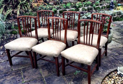 set of six georgian mahogany chairs - CATEGORY: ANTIQUE CHAIRS - DATED 1800