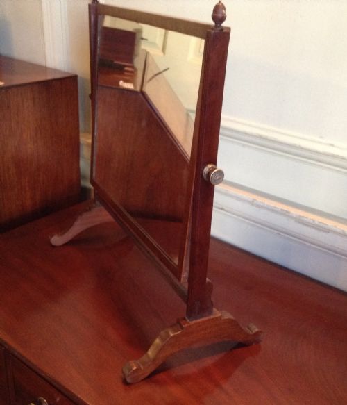 MAHOGANY SKELETON DRESSING MIRROR - ADDITIONAL PHOTO 3