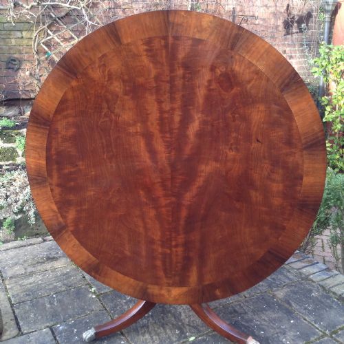 super circular mahogany pedestal dining table - CATEGORY: ANTIQUE TABLES - DATED 1800