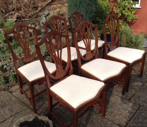 set of six georgian hepplewhite mahogany chairs - CATEGORY: ANTIQUE CHAIRS - DATED 1800