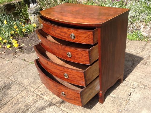 SUPER SMALL GEORGIAN MAHOGANY BOW FRONTED CHEST OF DRAWERS - ADDITIONAL PHOTO 2