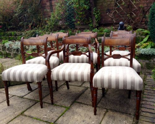 set of eight regency dining chairs - CATEGORY: ANTIQUE CHAIRS - DATED REGENCY
