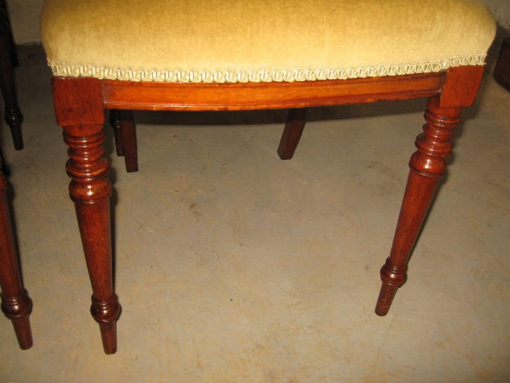Set of four late victorian dining chairs View IV