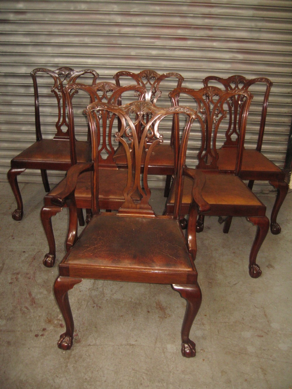 Set of  five plus carver chair  Chippendale style chairs.
