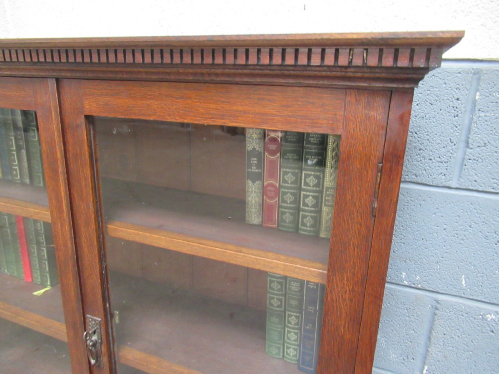 Oak two door bookcase View VIII