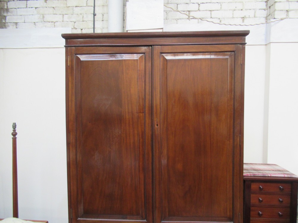 Large late Victorian mahogany cupboard View IV