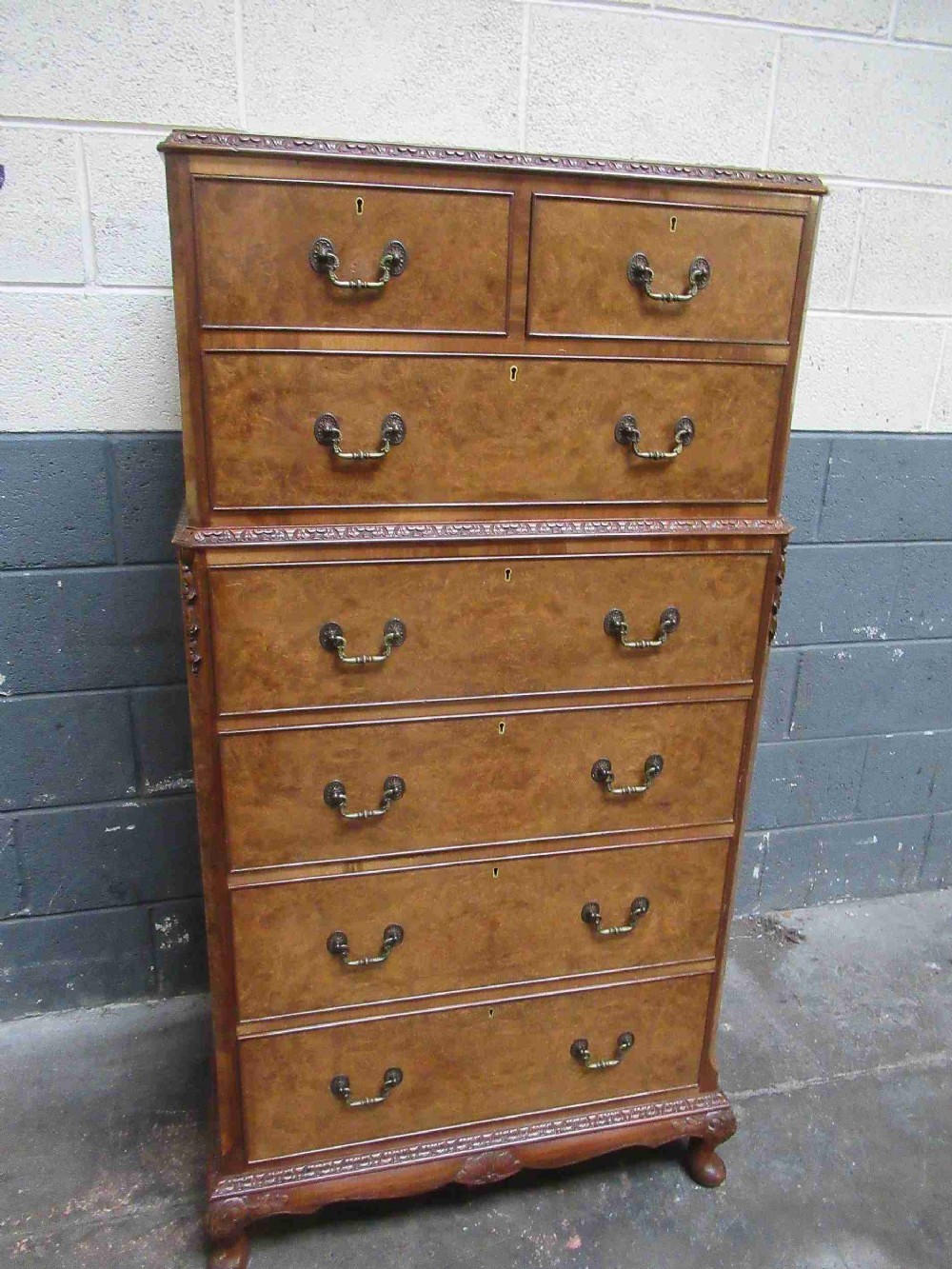 Burr Walnut tall boy chest of drawers.