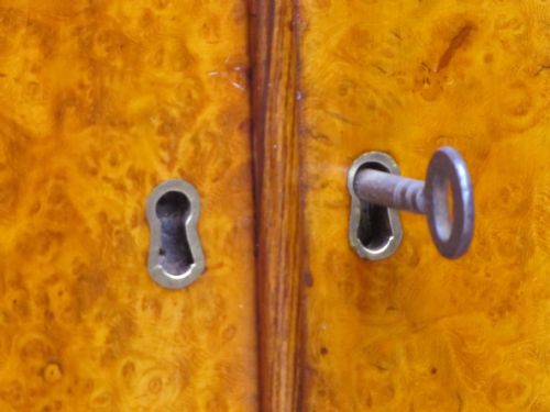 MID19TH CENTURY AMBOYNA ROSEWOOD GLAZED BOOKCASE - ADDITIONAL PHOTO 1
