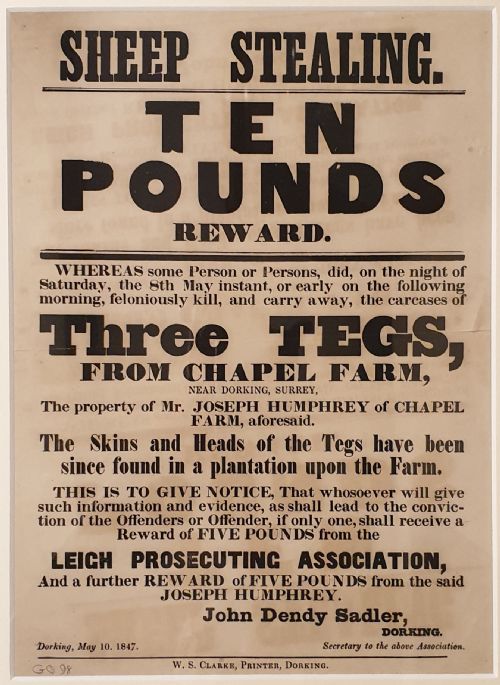 'sheep stealing' in surrey an original 1847 10 reward poster - CATEGORY: ANTIQUE MISCELLANEOUS - DATED 19TH CENTURY