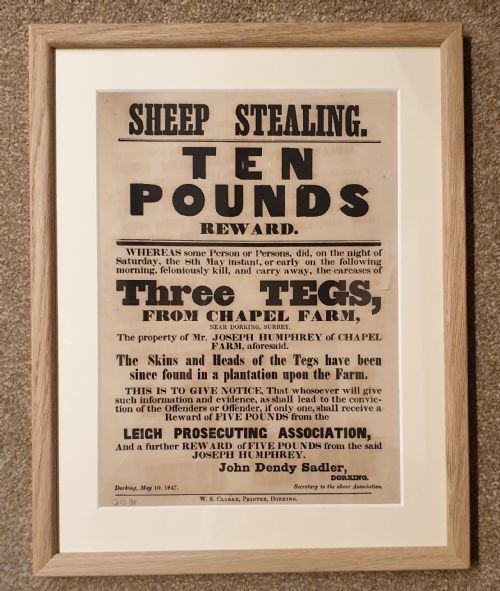 'SHEEP STEALING' IN SURREY AN ORIGINAL 1847 10 REWARD POSTER - ADDITIONAL PHOTO 1