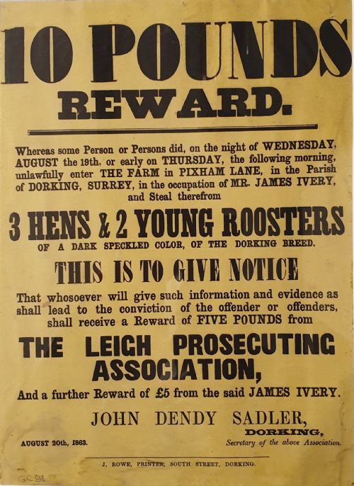 'stolen 3 hens 2 young roosters 10 reward ' an original 19th century wanted poster - CATEGORY: ANTIQUE MISCELLANEOUS - DATED 19TH CENTURY