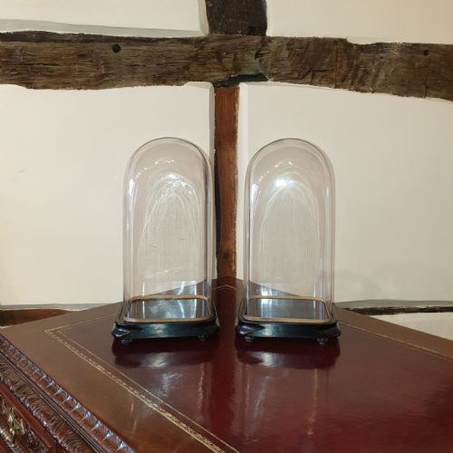 PAIR OF 19TH CENTURY GLASS DOMES WITH EBONISED BASES - ADDITIONAL PHOTO 1