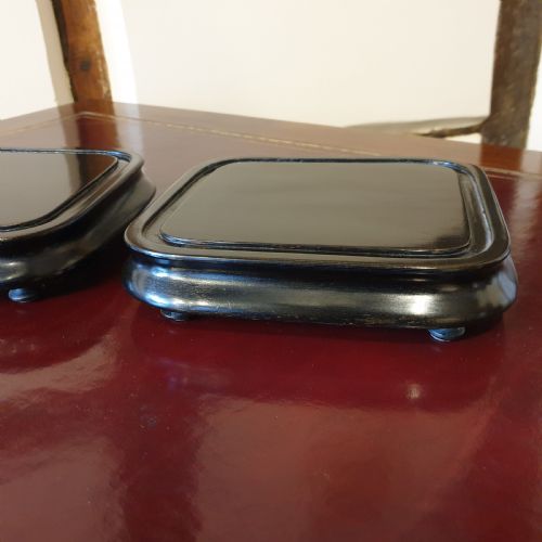 PAIR OF 19TH CENTURY GLASS DOMES WITH EBONISED BASES - ADDITIONAL PHOTO 4