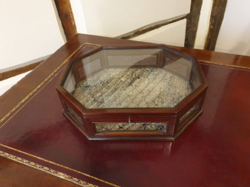 an octagonal mahogany glass sided tabletop display case - CATEGORY: ANTIQUE CABINETS - DATED 1900