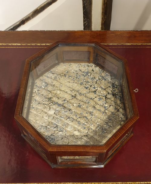 AN OCTAGONAL MAHOGANY GLASS SIDED TABLETOP DISPLAY CASE - ADDITIONAL PHOTO 3