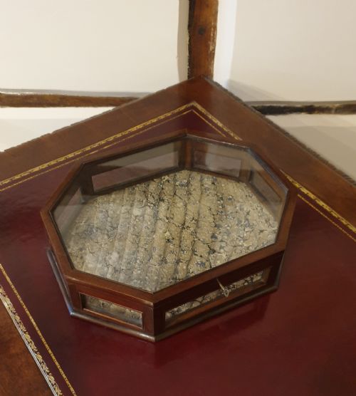 AN OCTAGONAL MAHOGANY GLASS SIDED TABLETOP DISPLAY CASE - ADDITIONAL PHOTO 4