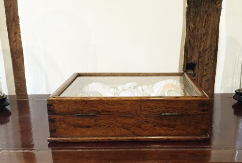 A COLLECTION OF SHELLS AND CRUSTACEAN IN ITS ORIGINAL 19TH CENTURY GLAZED TOP CASE - ADDITIONAL PHOTO 5