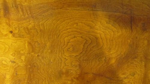19TH CENTURY BRASSBOUND CAMPHOR WOOD CHEST A VERY LARGE EXAMPLE ORIGINALLY OWNED BY A FAMILY FROM NEW YORK - ADDITIONAL PHOTO 5