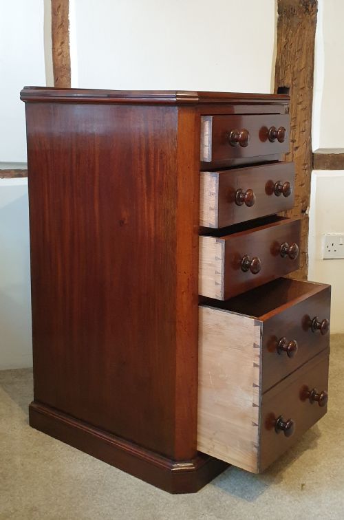 19TH CENTURY FLIGHT OF MAHOGANY DRAWERS - ADDITIONAL PHOTO 3