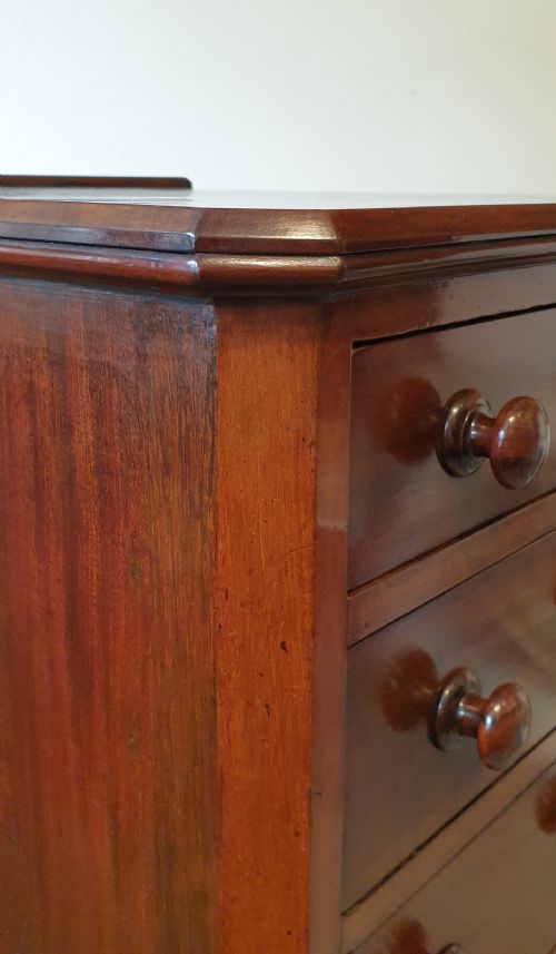 19TH CENTURY FLIGHT OF MAHOGANY DRAWERS - ADDITIONAL PHOTO 7