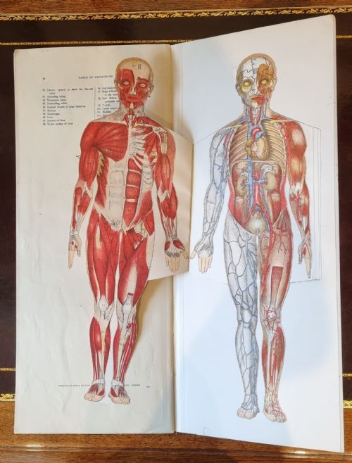 philips' popular manikin edited by w s furneaux - CATEGORY: ANTIQUE MISCELLANEOUS - DATED 1900