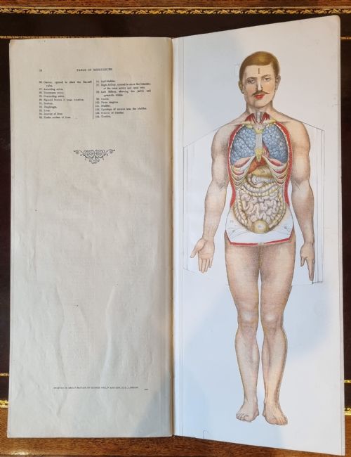 PHILIPS' POPULAR MANIKIN EDITED BY W S FURNEAUX - ADDITIONAL PHOTO 8