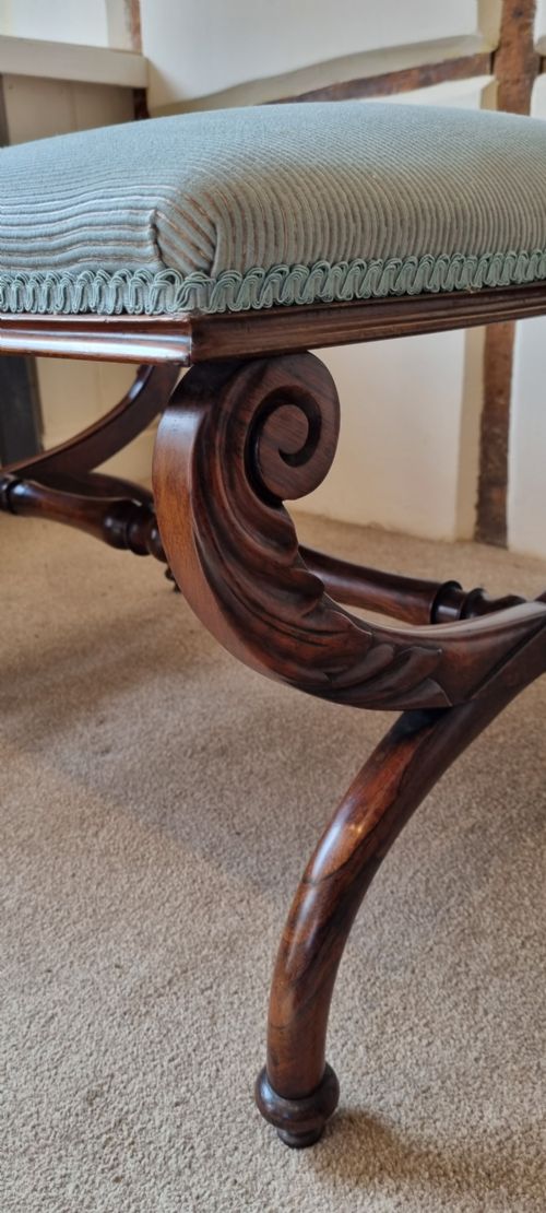 EARLY 19TH CENTURY ROSEWOOD 'X' FRAME STOOL OF GENEROUS PROPORTIONS - ADDITIONAL PHOTO 7