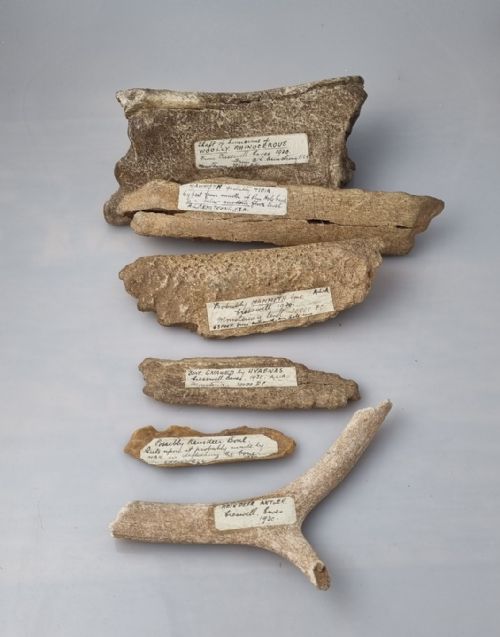 a collection of animal bone fragments mousterian level excavated by albert leslie armstrong from the creswell caves circa 1930 - CATEGORY: ANTIQUE MISCELLANEOUS - DATED BEFORE 1700