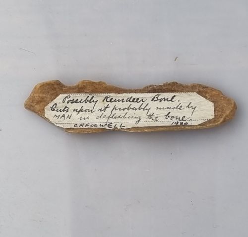 A COLLECTION OF ANIMAL BONE FRAGMENTS MOUSTERIAN LEVEL EXCAVATED BY ALBERT LESLIE ARMSTRONG FROM THE CRESWELL CAVES CIRCA 1930 - ADDITIONAL PHOTO 5