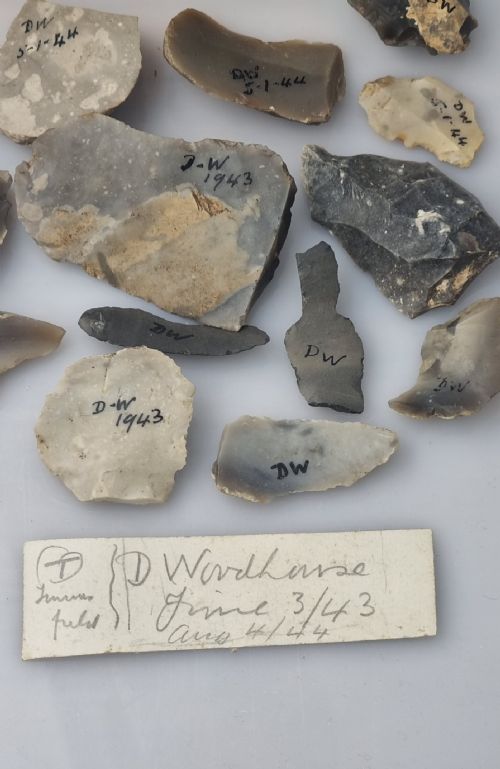 A COLLECTION OF NEOLITHIC FLAKE TOOLS COLLECTED BY D WOODHOUSE IN THE SUMMER OF 1943 1944 - ADDITIONAL PHOTO 1